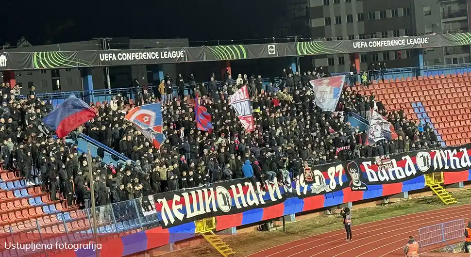 lesinari borac 1.webp